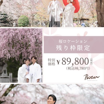 桜ロケーション フォトウエディング