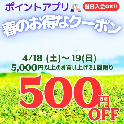 春のお得なクーポン1.jpg