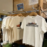 TES IMG_7622.jpg