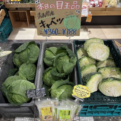 市場キャベツ.jpg