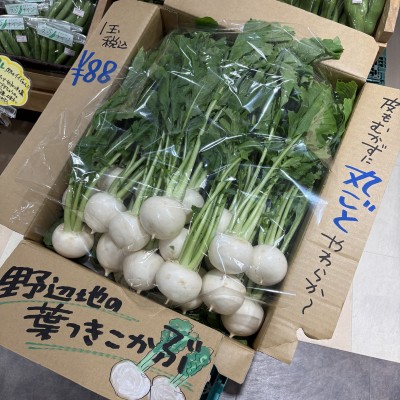 野辺地こかぶ5.jpg