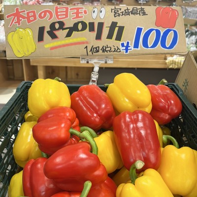 IMG_4457.jpeg