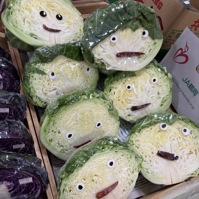 キャベツ1.jpg
